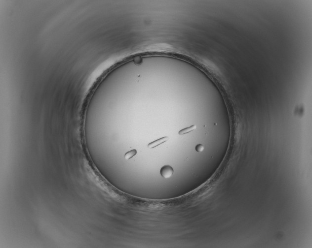 X0000111631326200907311217