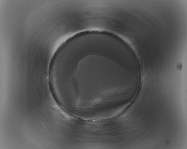 X0000111631327200907311217