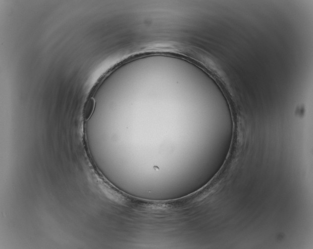 X0000111631328200907311217