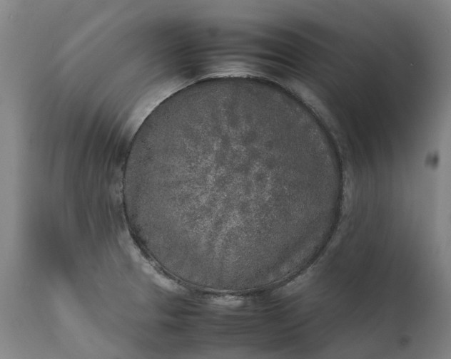 X0000111631329200907311217