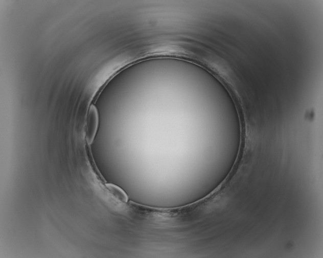 X0000111631330200907311217