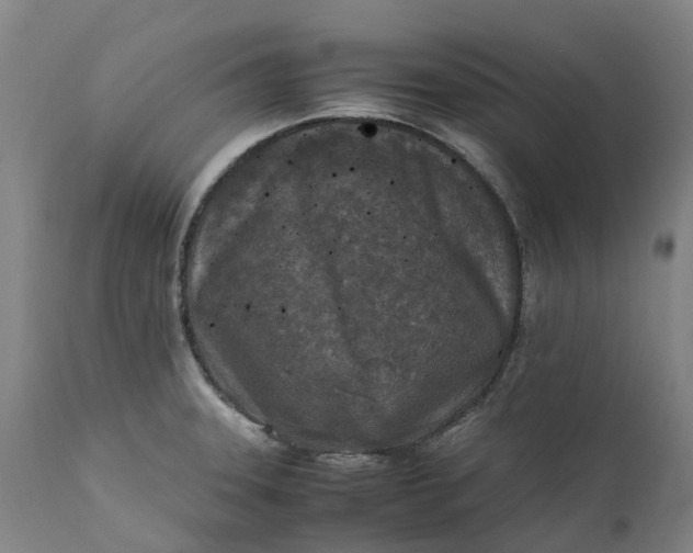 X0000111631331200907311217