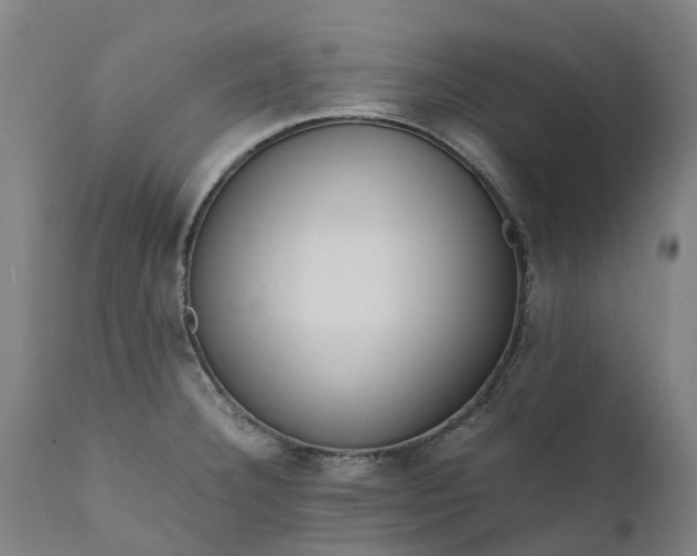 X0000111631332200907311217