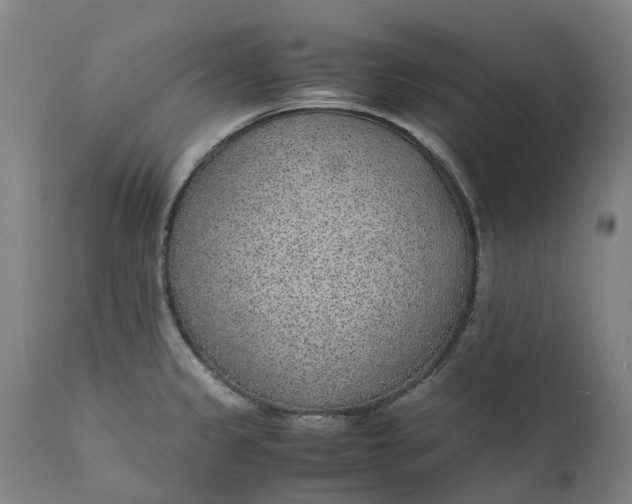 X0000111631333200907311217