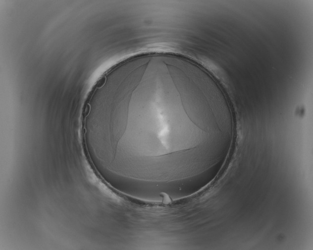 X0000111631334200907311217