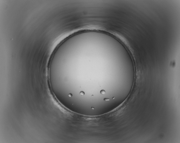 X0000111631335200907311218