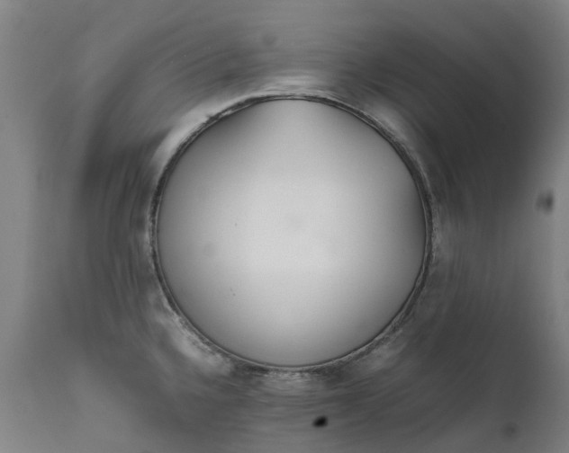 X0000111631336200907311218