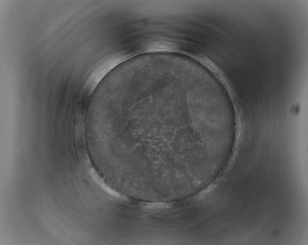 X0000111631337200907311218