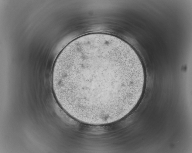 X0000111631338200907311218