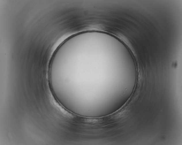 X0000111631339200907311218