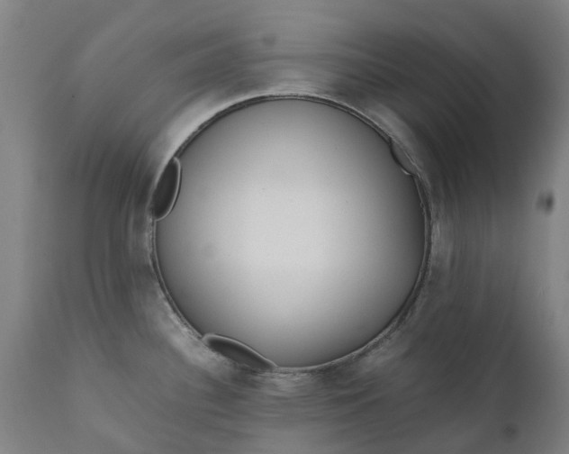 X0000111631340200907311218