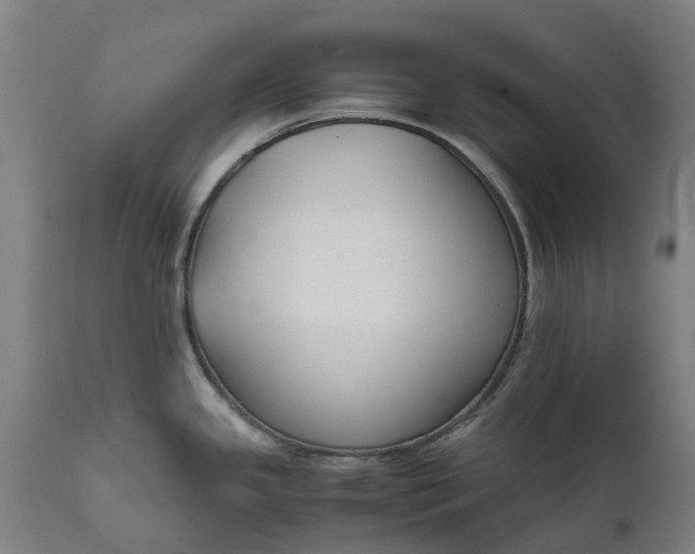 X0000111631341200907311218