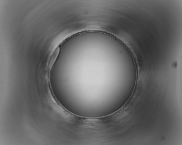 X0000111631342200907311218