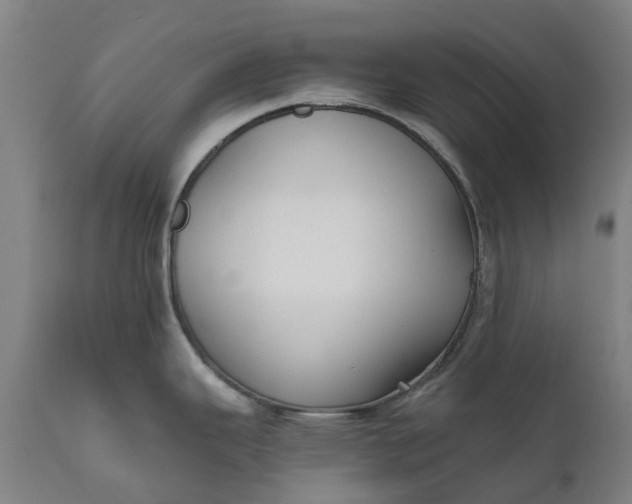 X0000111631343200907311218