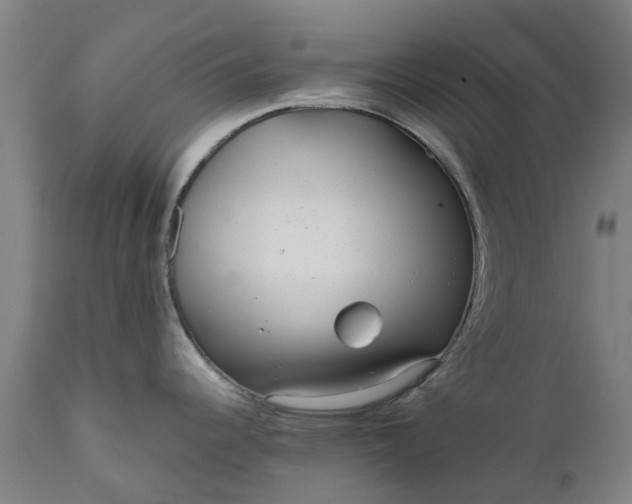 X0000111631344200907311218