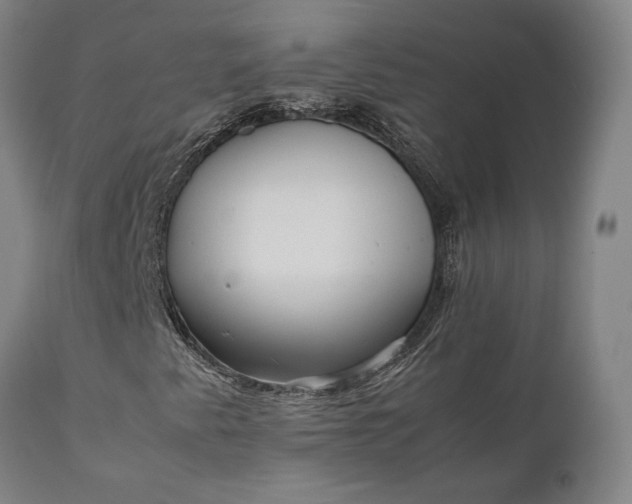 X0000111631345200907311217