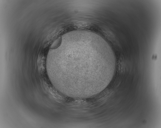 X0000111631346200907311217