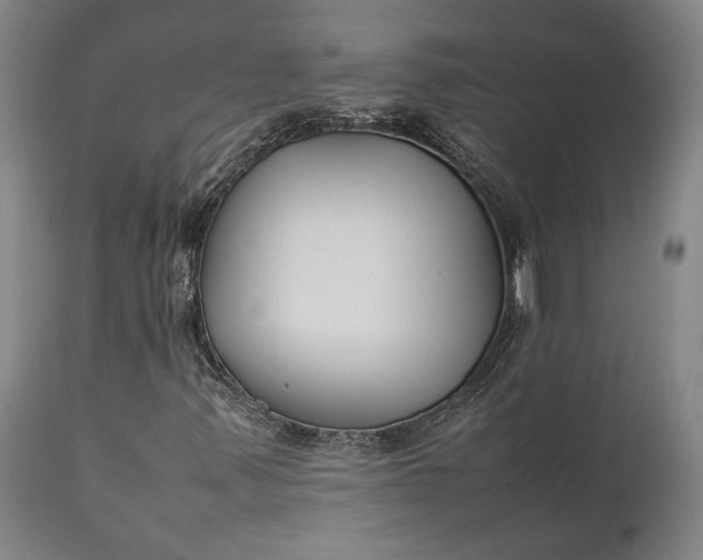 X0000111631347200907311217