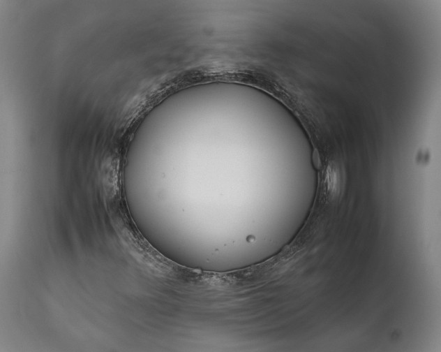 X0000111631348200907311217