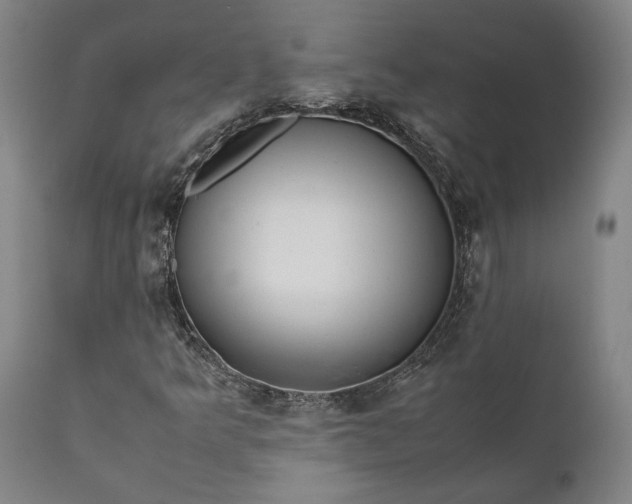 X0000111631349200907311217