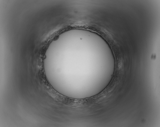 X0000111631350200907311217