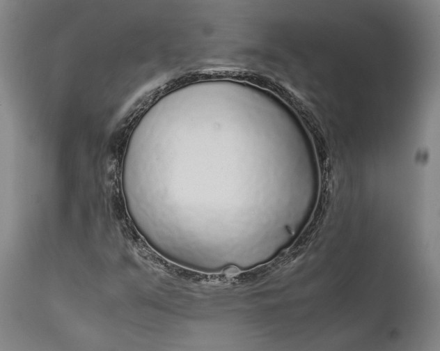 X0000111631351200907311217