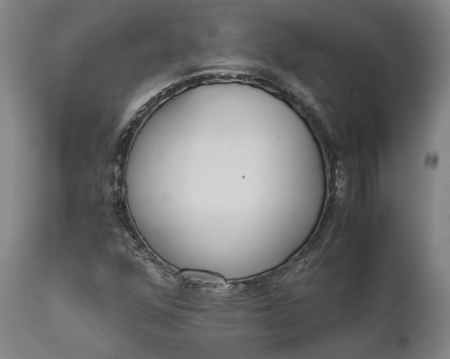 X0000111631352200907311217