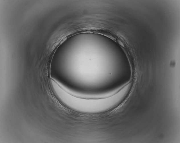 X0000111631353200907311217