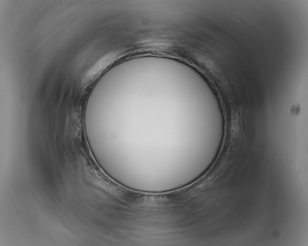 X0000111631354200907311217