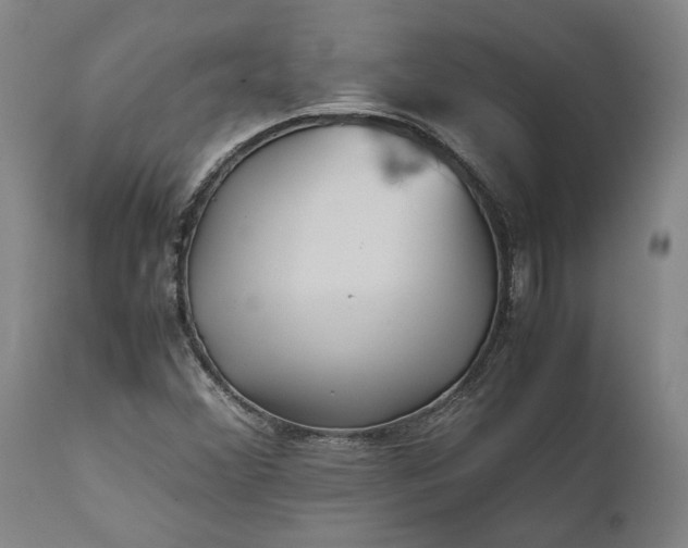 X0000111631356200907311217