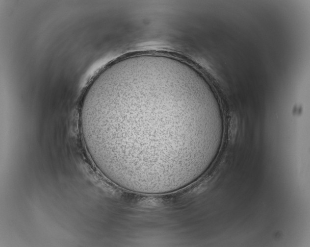 X0000111631358200907311217