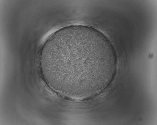 X0000111631359200907311217