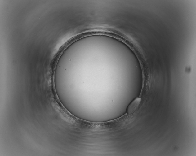 X0000111631360200907311217