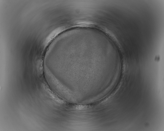 X0000111631362200907311217