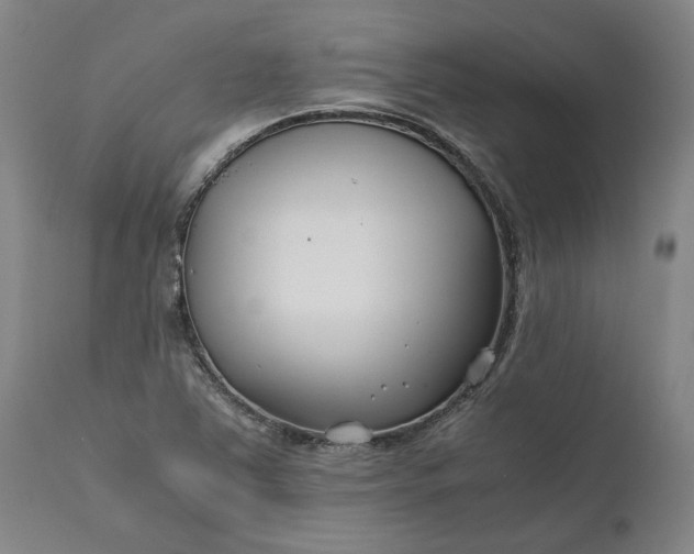 X0000111631363200907311217