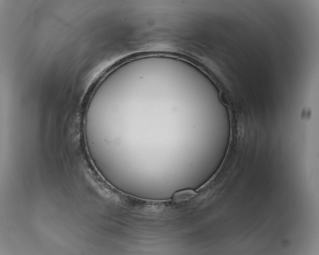 X0000111631364200907311217