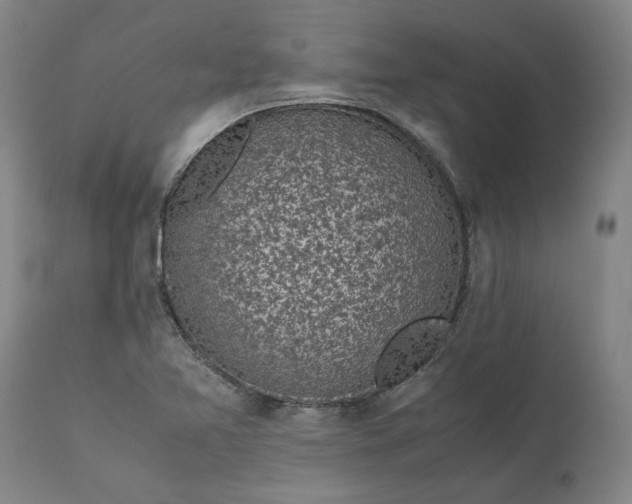 X0000111631365200907311217