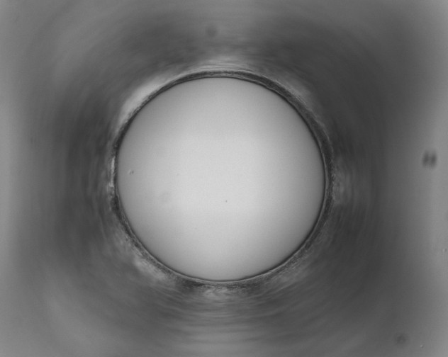 X0000111631366200907311217