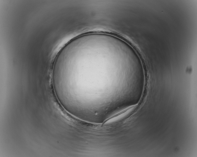 X0000111631367200907311216