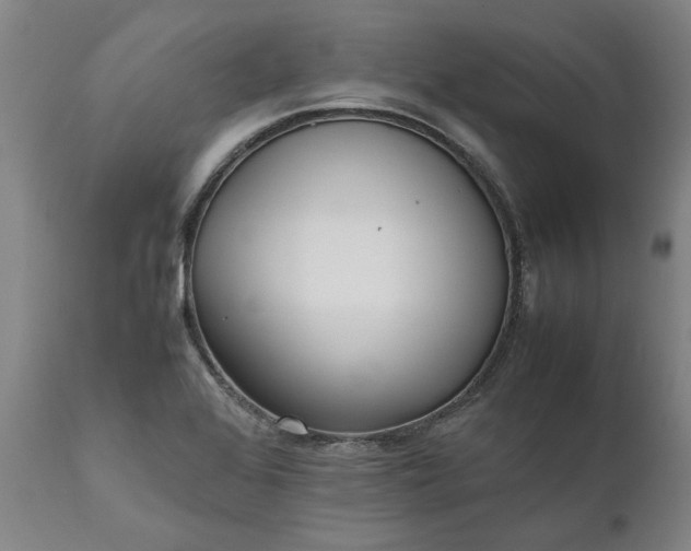 X0000111631368200907311216