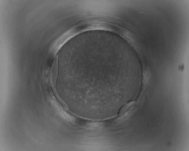 X0000111631369200907311216