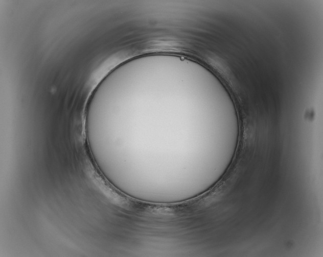 X0000111631370200907311216