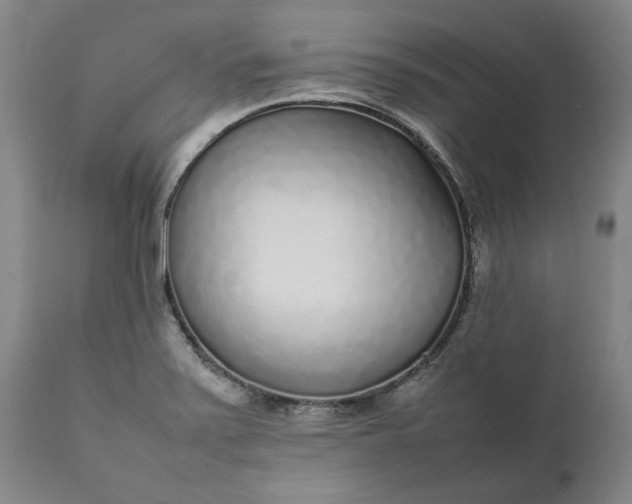 X0000111631371200907311216