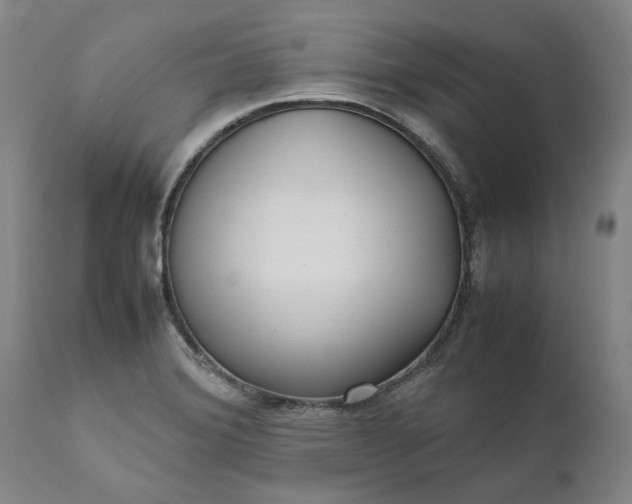 X0000111631372200907311216