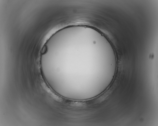 X0000111631374200907311216