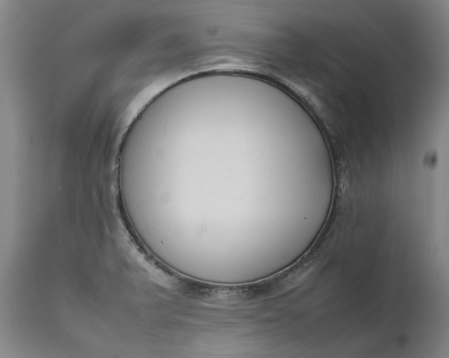 X0000111631375200907311216