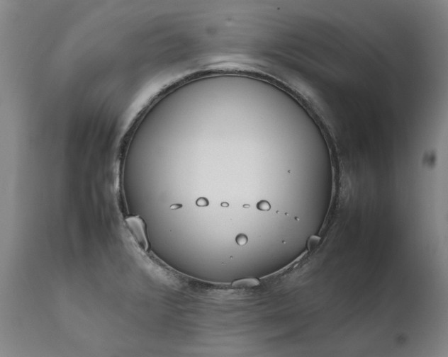 X0000111631376200907311216