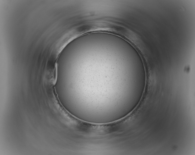 X0000111631377200907311216