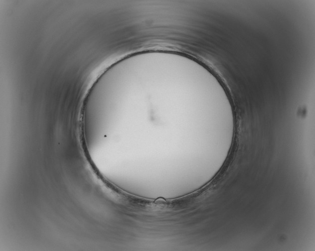 X0000111631379200907311216