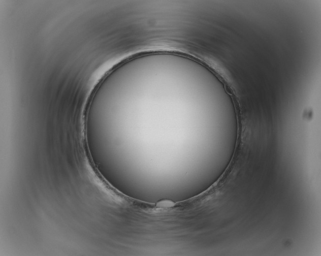 X0000111631380200907311216